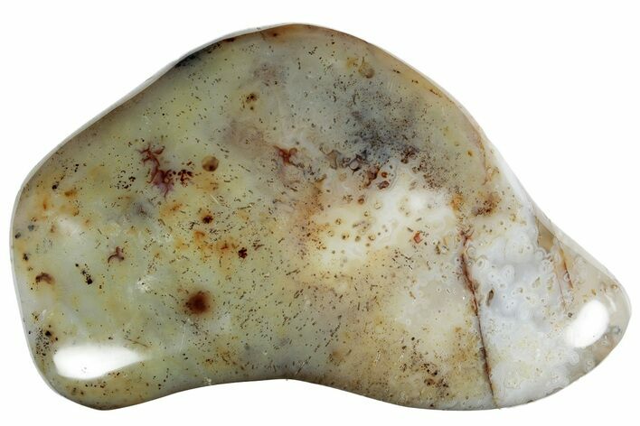 Polished Agate - Madagascar #237619